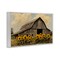 Stupell Industries Barn In Sunflower Field Framed Giclee, design by Franklyn Gregory